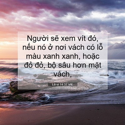 Picture 07 - Lê-vi 14:37 VIE - Người sẽ xem vít đó, nếu nó ở nơi - Bible Verse Picture