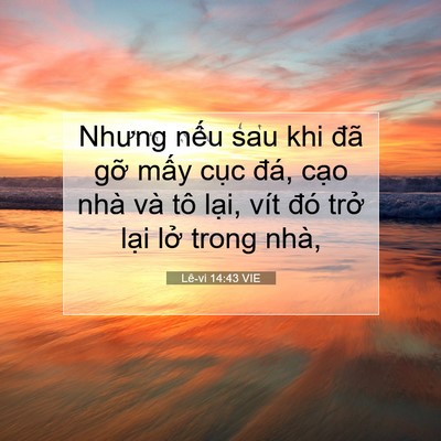 Picture 07 - Lê-vi 14:43 VIE - Nhưng nếu sau khi đã gỡ mấy cục đá, - Bible Verse Picture