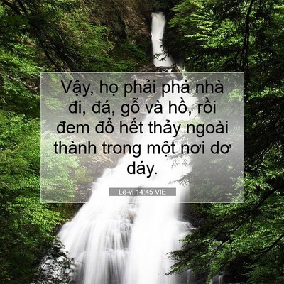 Picture 07 - Lê-vi 14:45 VIE - Vậy, họ phải phá nhà đi, đá, gỗ và - Bible Verse Picture