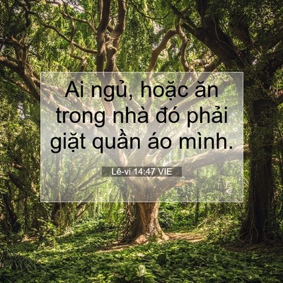 Picture 07 - Lê-vi 14:47 VIE - Ai ngủ, hoặc ăn trong nhà đó phải - Bible Verse Picture