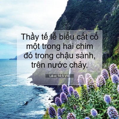 Picture 07 - Lê-vi 14:5 VIE - Thầy tế lễ biểu cắt cổ một trong - Bible Verse Picture
