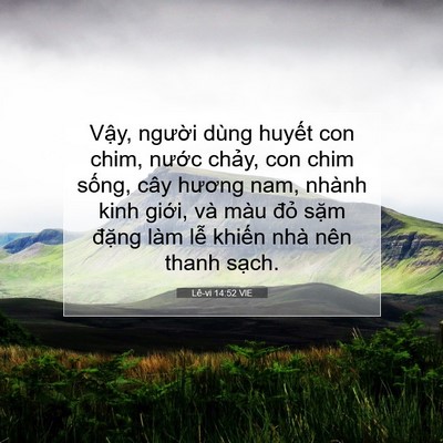 Picture 07 - Lê-vi 14:52 VIE - Vậy, người dùng huyết con chim, nước - Bible Verse Picture