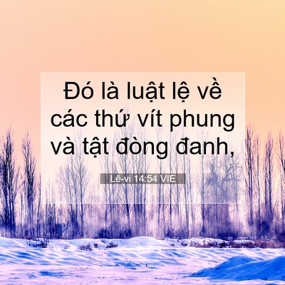 Picture 07 - Lê-vi 14:54 VIE - Đó là luật lệ về các thứ vít phung - Bible Verse Picture