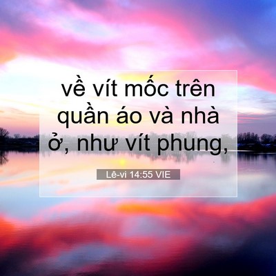 Picture 07 - Lê-vi 14:55 VIE - về vít mốc trên quần áo và nhà ở, - Bible Verse Picture