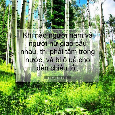 Picture 07 - Lê-vi 15:18 VIE - Khi nào người nam và người nữ giao - Bible Verse Picture