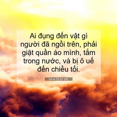 Picture 07 - Lê-vi 15:22 VIE - Ai đụng đến vật gì người đã ngồi - Bible Verse Picture