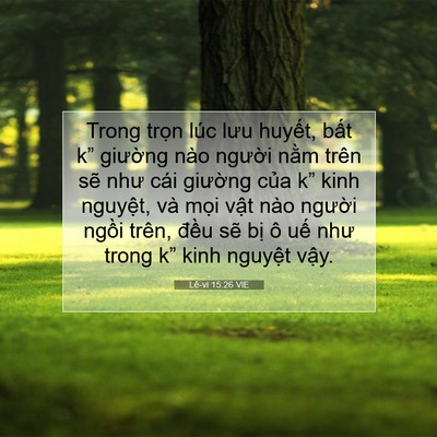 Picture 07 - Lê-vi 15:26 VIE - Trong trọn lúc lưu huyết, bất k” - Bible Verse Picture