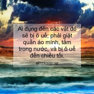 Picture 07 - Lê-vi 15:27 VIE - Ai đụng đến các vật đó sẽ bị ô - Bible Verse Picture