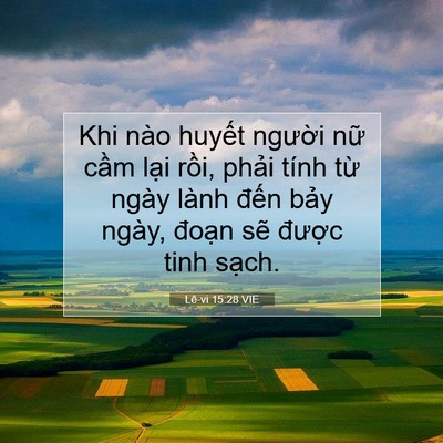Picture 07 - Lê-vi 15:28 VIE - Khi nào huyết người nữ cầm lại rồi, - Bible Verse Picture