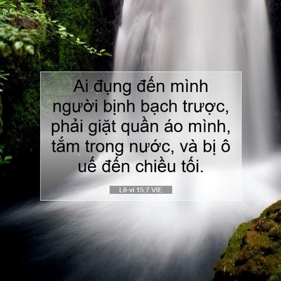 Picture 07 - Lê-vi 15:7 VIE - Ai đụng đến mình người bịnh bạch - Bible Verse Picture