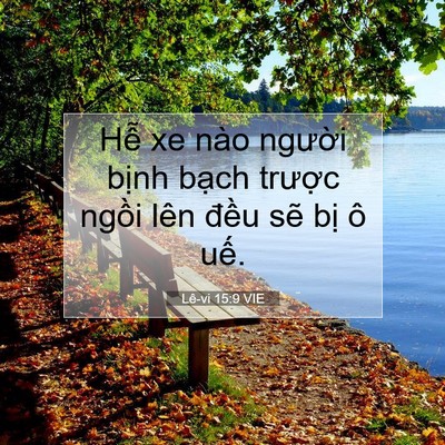 Picture 07 - Lê-vi 15:9 VIE - Hễ xe nào người bịnh bạch trược - Bible Verse Picture