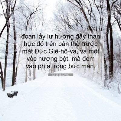Picture 07 - Lê-vi 16:12 VIE - đoạn lấy lư hương đầy than hực đỏ - Bible Verse Picture
