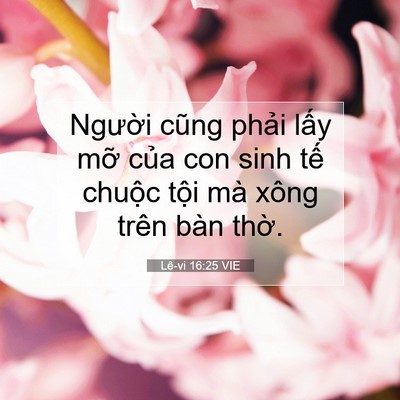 Picture 07 - Lê-vi 16:25 VIE - Người cũng phải lấy mỡ của con sinh - Bible Verse Picture