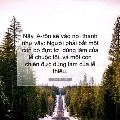 Picture 07 - Lê-vi 16:3 VIE - Nầy, A-rôn sẽ vào nơi thánh như vầy: - Bible Verse Picture