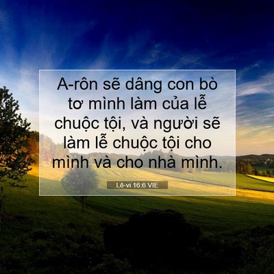 Picture 07 - Lê-vi 16:6 VIE - A-rôn sẽ dâng con bò tơ mình làm của - Bible Verse Picture