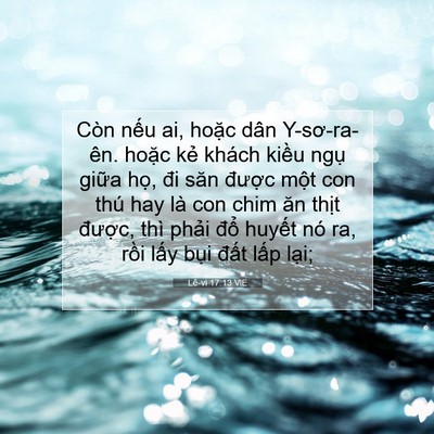 Picture 07 - Lê-vi 17:13 VIE - Còn nếu ai, hoặc dân Y-sơ-ra-ên. hoặc - Bible Verse Picture