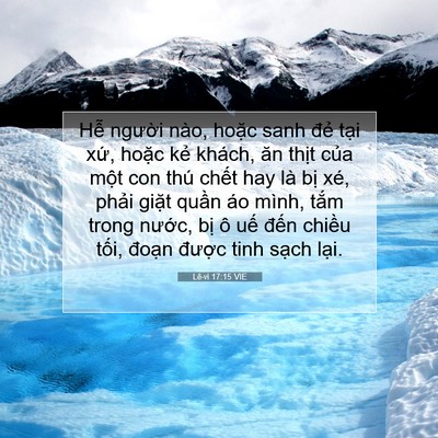 Picture 07 - Lê-vi 17:15 VIE - Hễ người nào, hoặc sanh đẻ tại xứ, - Bible Verse Picture