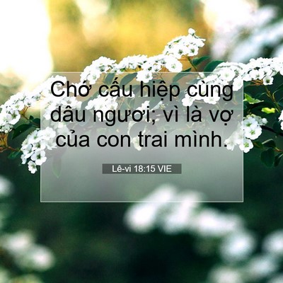 Picture 07 - Lê-vi 18:15 VIE - Chớ cấu hiệp cùng dâu ngươi; vì là - Bible Verse Picture