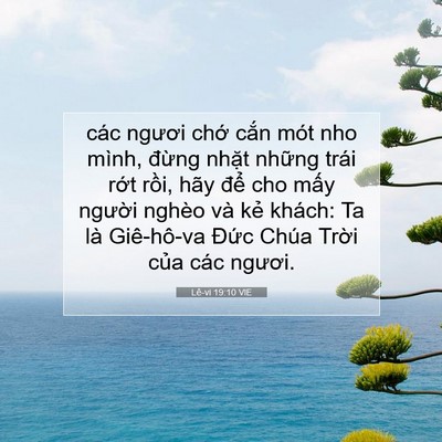 Picture 07 - Lê-vi 19:10 VIE - các ngươi chớ cắn mót nho mình, đừng - Bible Verse Picture