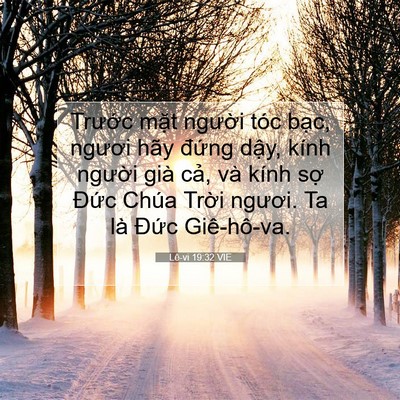 Picture 07 - Lê-vi 19:32 VIE - Trước mặt người tóc bạc, ngươi hãy - Bible Verse Picture