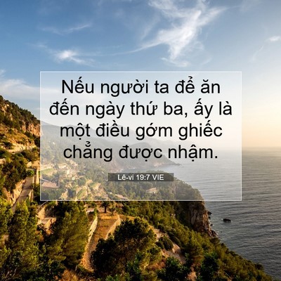 Picture 07 - Lê-vi 19:7 VIE - Nếu người ta để ăn đến ngày thứ - Bible Verse Picture