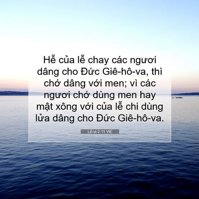 Picture 07 - Lê-vi 2:11 VIE - Hễ của lễ chay các ngươi dâng cho - Bible Verse Picture