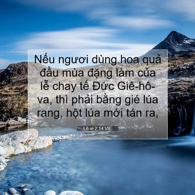 Picture 07 - Lê-vi 2:14 VIE - Nếu ngươi dùng hoa quả đầu mùa đặng - Bible Verse Picture