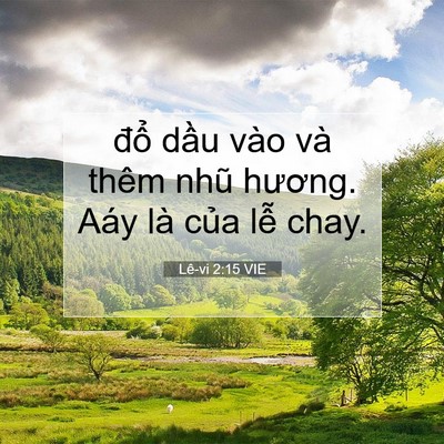 Picture 07 - Lê-vi 2:15 VIE - đổ dầu vào và thêm nhũ hương. Aáy là - Bible Verse Picture