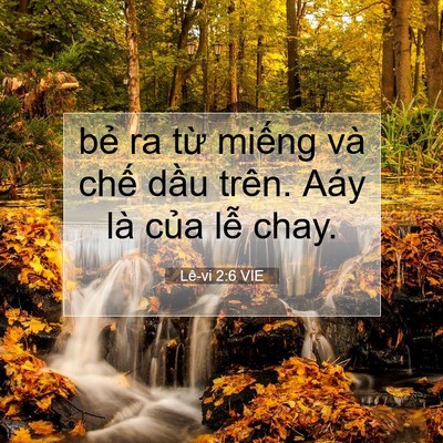 Picture 07 - Lê-vi 2:6 VIE - bẻ ra từ miếng và chế dầu trên. Aáy - Bible Verse Picture