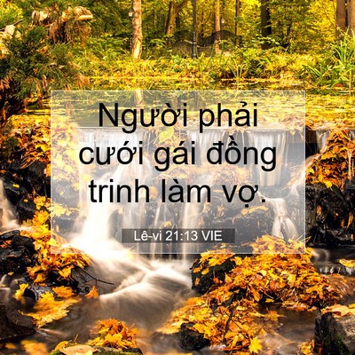 Picture 07 - Lê-vi 21:13 VIE - Người phải cưới gái đồng trinh làm - Bible Verse Picture