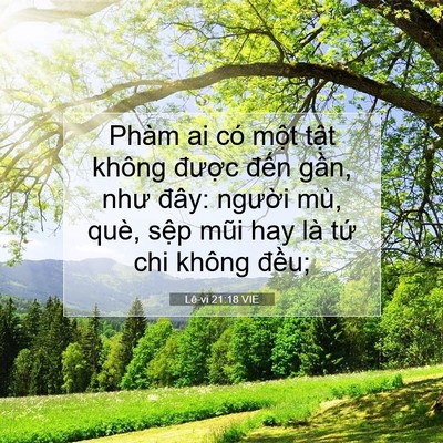 Picture 07 - Lê-vi 21:18 VIE - Phàm ai có một tật không được đến - Bible Verse Picture