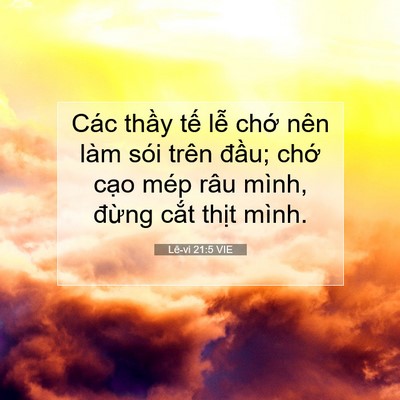 Picture 07 - Lê-vi 21:5 VIE - Các thầy tế lễ chớ nên làm sói trên - Bible Verse Picture