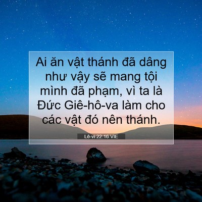 Picture 07 - Lê-vi 22:16 VIE - Ai ăn vật thánh đã dâng như vậy sẽ - Bible Verse Picture