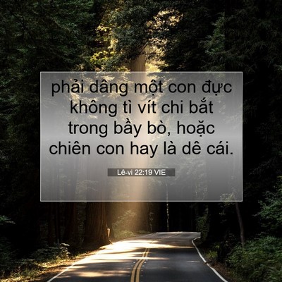 Picture 07 - Lê-vi 22:19 VIE - phải dâng một con đực không tì vít chi - Bible Verse Picture