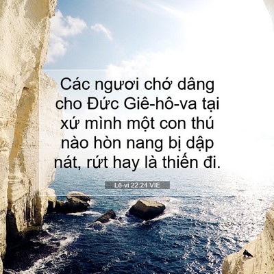 Picture 07 - Lê-vi 22:24 VIE - Các ngươi chớ dâng cho Đức Giê-hô-va - Bible Verse Picture