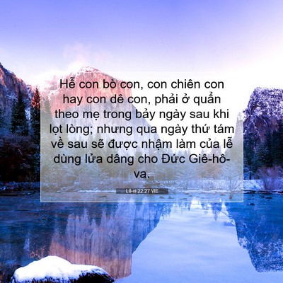 Picture 07 - Lê-vi 22:27 VIE - Hễ con bò con, con chiên con hay con dê con, - Bible Verse Picture