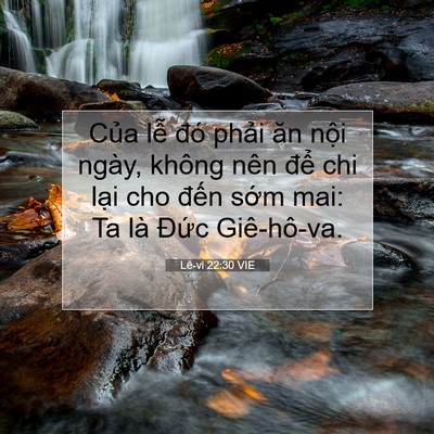 Picture 07 - Lê-vi 22:30 VIE - Của lễ đó phải ăn nội ngày, không - Bible Verse Picture