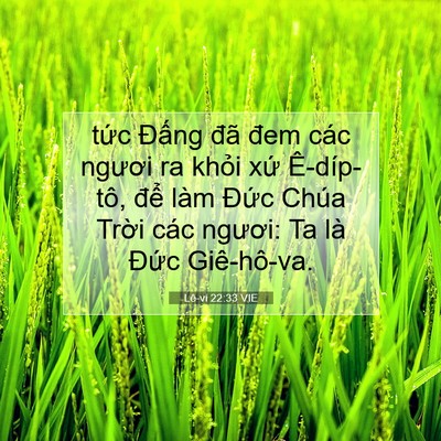 Picture 07 - Lê-vi 22:33 VIE - tức Đấng đã đem các ngươi ra khỏi - Bible Verse Picture