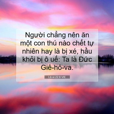 Picture 07 - Lê-vi 22:8 VIE - Người chẳng nên ăn một con thú nào - Bible Verse Picture