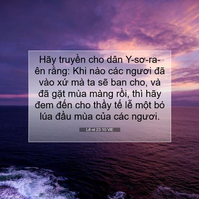 Picture 07 - Lê-vi 23:10 VIE - Hãy truyền cho dân Y-sơ-ra-ên rằng: Khi - Bible Verse Picture