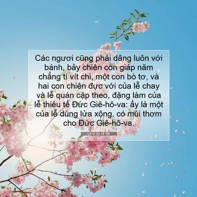 Picture 07 - Lê-vi 23:18 VIE - Các ngươi cũng phải dâng luôn với - Bible Verse Picture