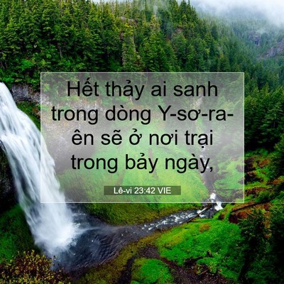 Picture 07 - Lê-vi 23:42 VIE - Hết thảy ai sanh trong dòng Y-sơ-ra-ên - Bible Verse Picture