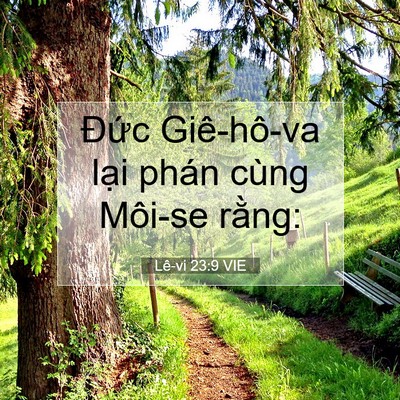 Picture 07 - Lê-vi 23:9 VIE - Đức Giê-hô-va lại phán cùng Môi-se - Bible Verse Picture