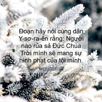 Picture 07 - Lê-vi 24:15 VIE - Đoạn hãy nói cùng dân Y-sơ-ra-ên rằng: - Bible Verse Picture