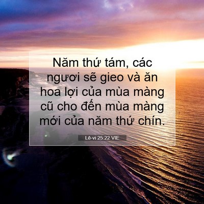 Picture 07 - Lê-vi 25:22 VIE - Năm thứ tám, các ngươi sẽ gieo và ăn - Bible Verse Picture