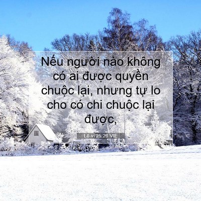 Picture 07 - Lê-vi 25:26 VIE - Nếu người nào không có ai được - Bible Verse Picture