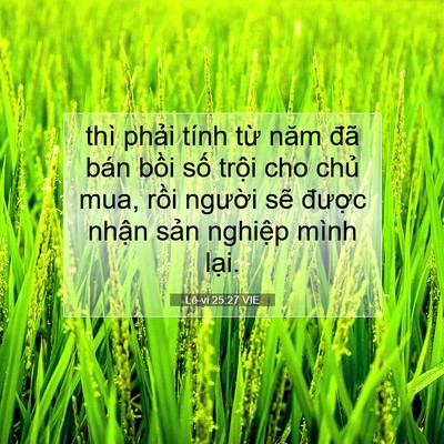 Picture 07 - Lê-vi 25:27 VIE - thì phải tính từ năm đã bán bồi số - Bible Verse Picture