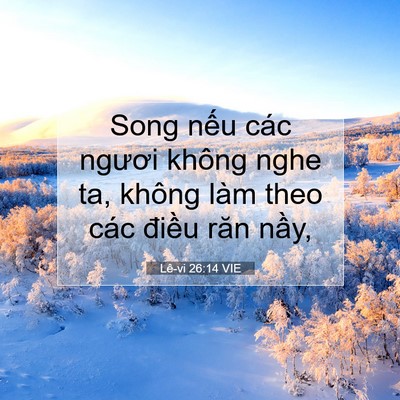 Picture 07 - Lê-vi 26:14 VIE - Song nếu các ngươi không nghe ta, không - Bible Verse Picture