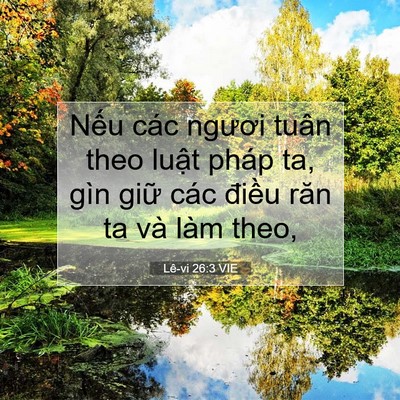 Picture 07 - Lê-vi 26:3 VIE - Nếu các ngươi tuân theo luật pháp ta, - Bible Verse Picture