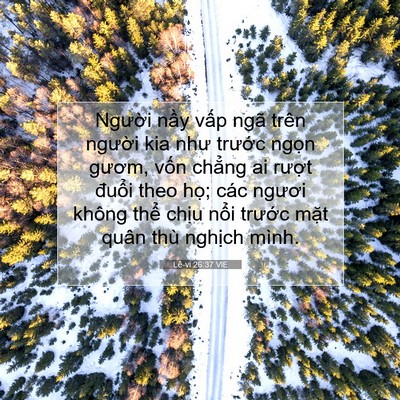 Picture 07 - Lê-vi 26:37 VIE - Người nầy vấp ngã trên người kia như - Bible Verse Picture